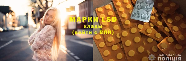 индика Баксан