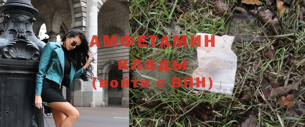 индика Баксан