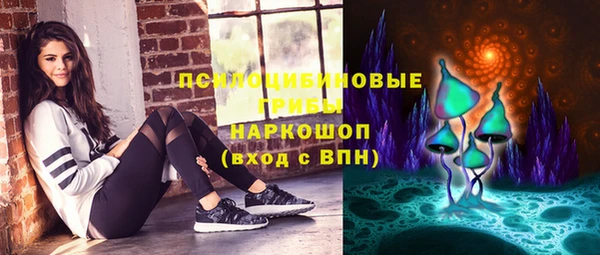 индика Баксан