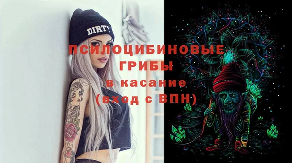 индика Баксан