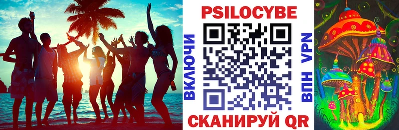 Псилоцибиновые грибы GOLDEN TEACHER  продажа наркотиков  Константиновск 